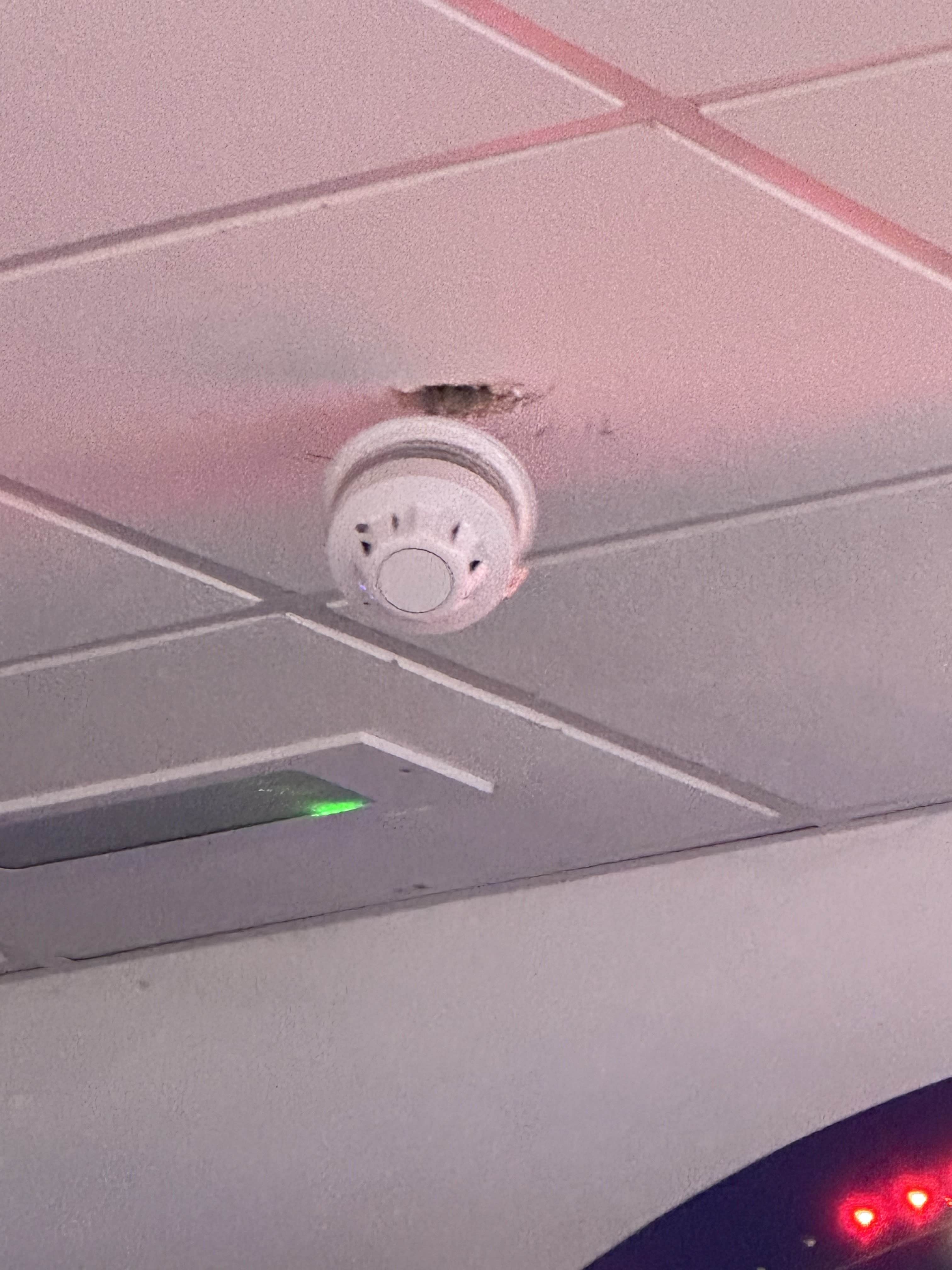 Apollo XP95 Optical & Sounder Base